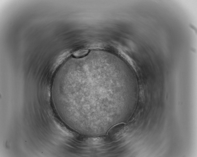 X0000095890059200801251212