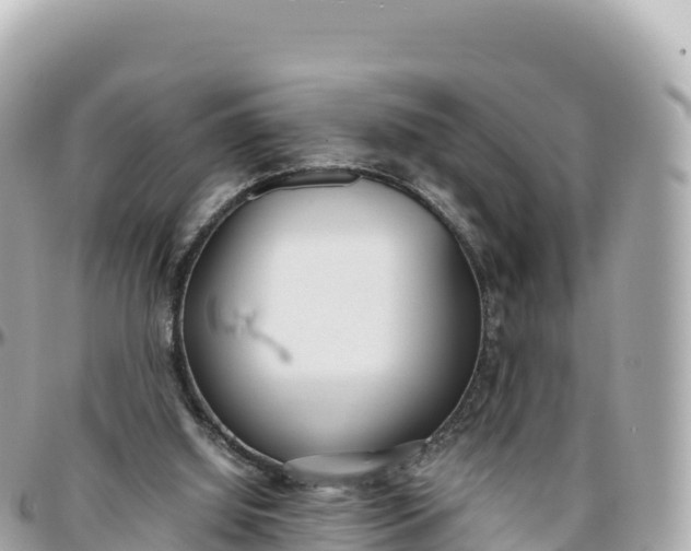 X0000095890060200801251212