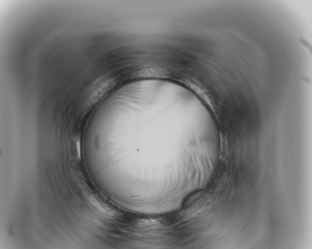 X0000095890061200801251212