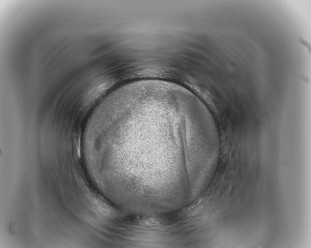 X0000095890062200801251212