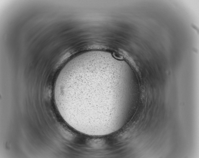 X0000095890063200801251212