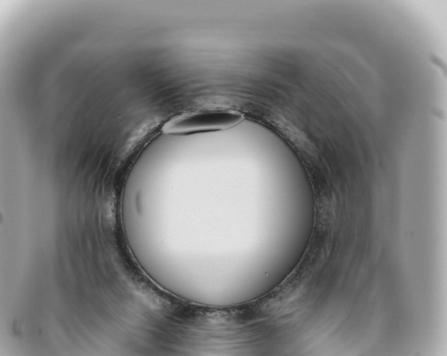 X0000095890064200801251212