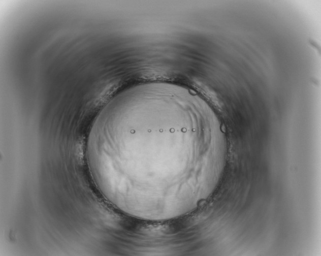 X0000095890065200801251212