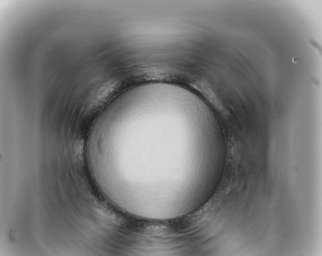 X0000095890066200801251212