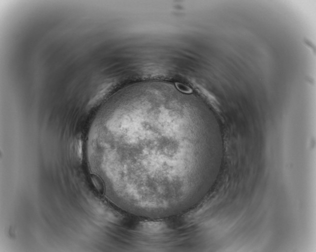 X0000095890067200801251212