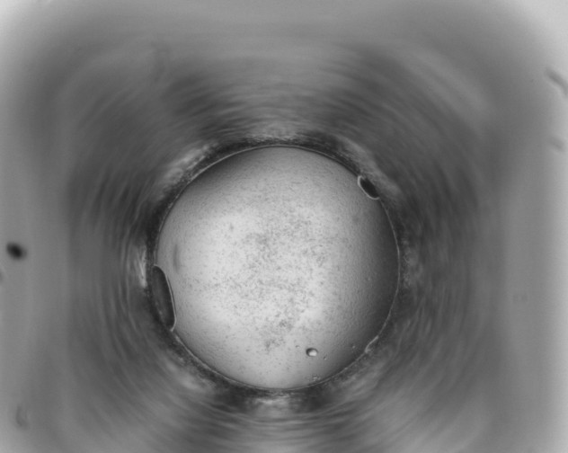 X0000095890068200801251212