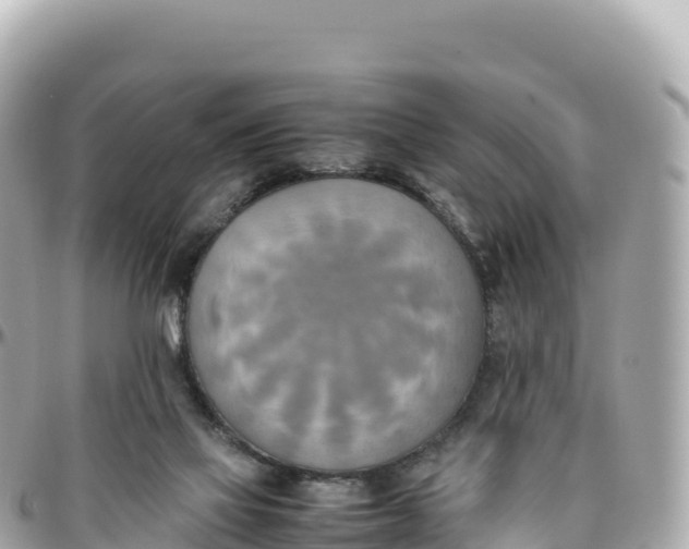 X0000095890069200801251212