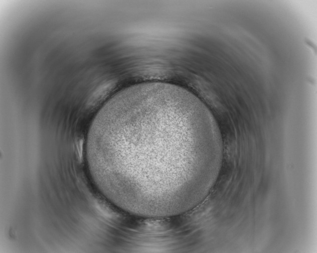 X0000095890070200801251212