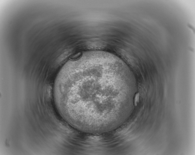 X0000095890071200801251212