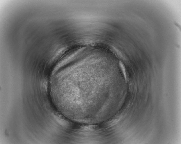 X0000095890072200801251212