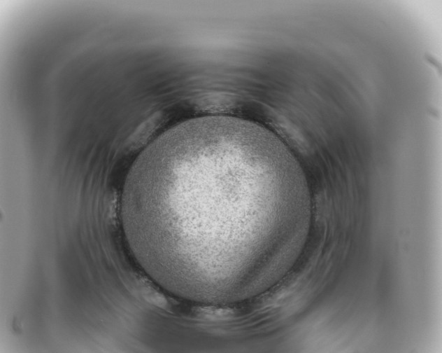 X0000095890073200801251212