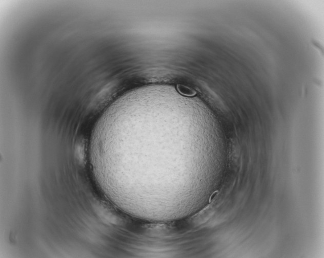 X0000095890074200801251212