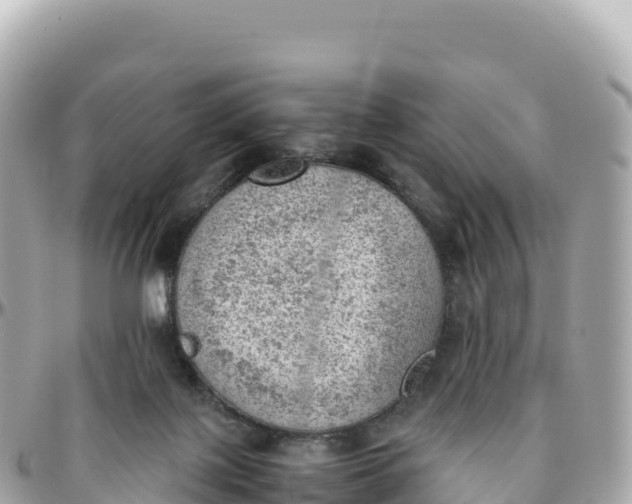 X0000095890075200801251212