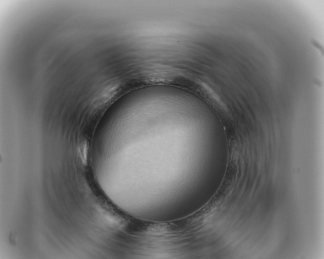 X0000095890076200801251212