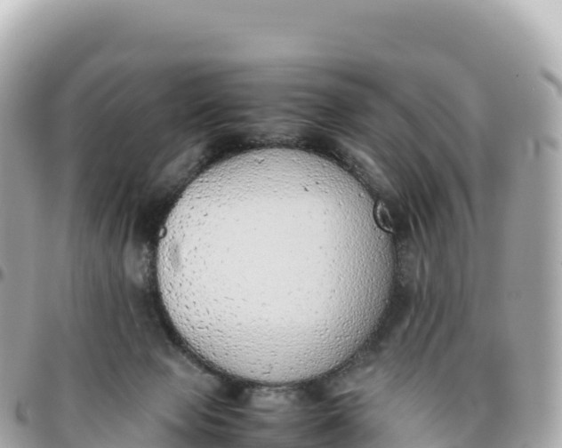 X0000095890077200801251212