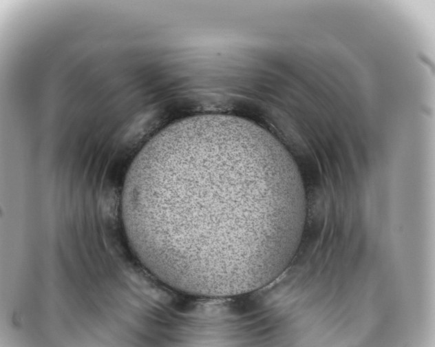 X0000095890078200801251212