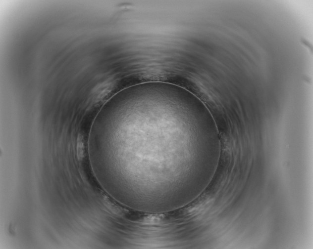 X0000095890080200801251212