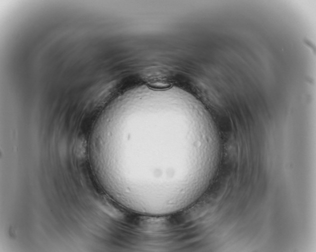 X0000095890081200801251212