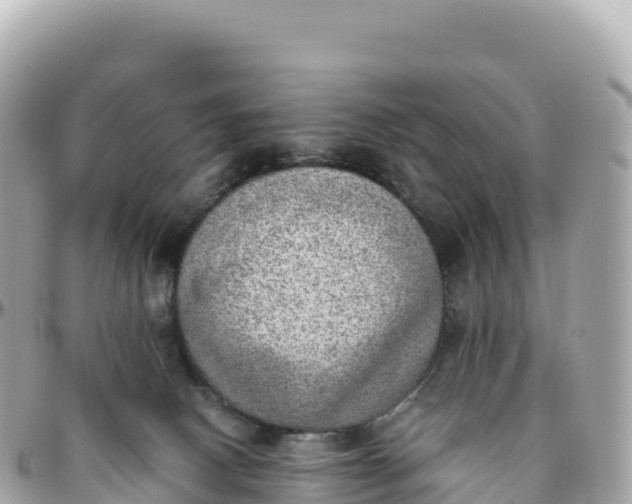 X0000095890082200801251212