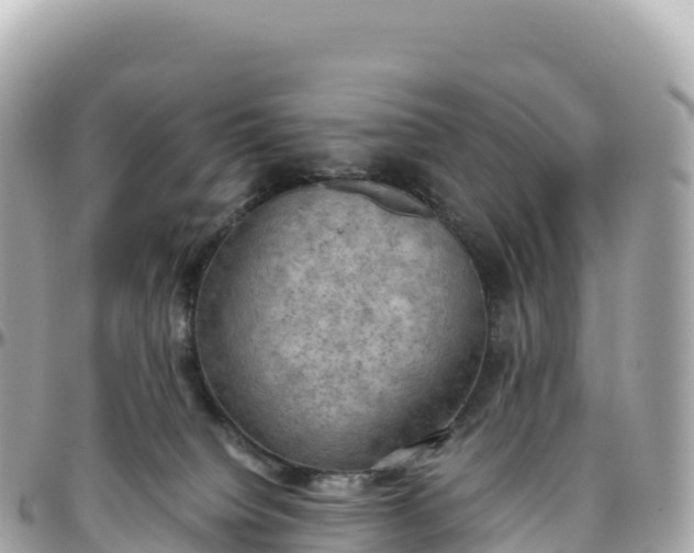 X0000095890084200801251212