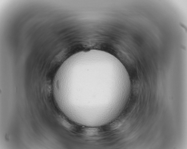 X0000095890085200801251212