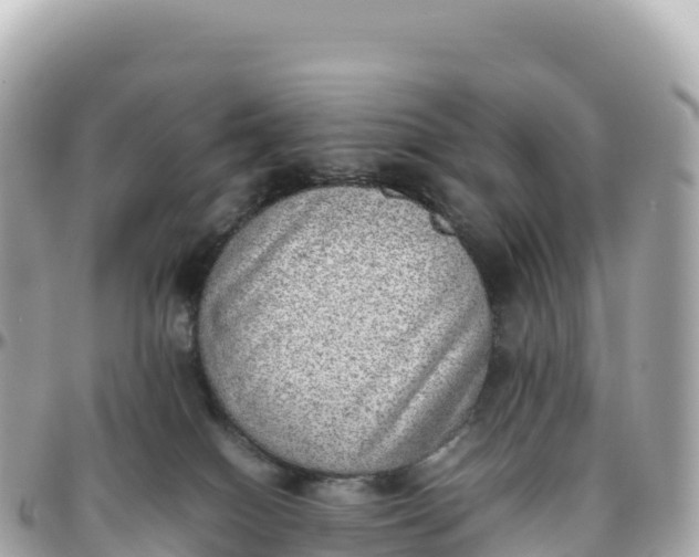 X0000095890086200801251212