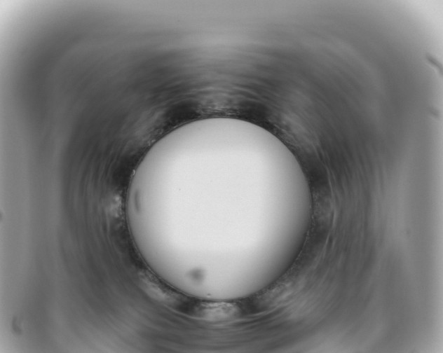 X0000095890087200801251212