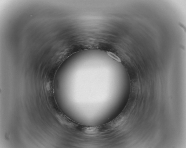 X0000095890088200801251212