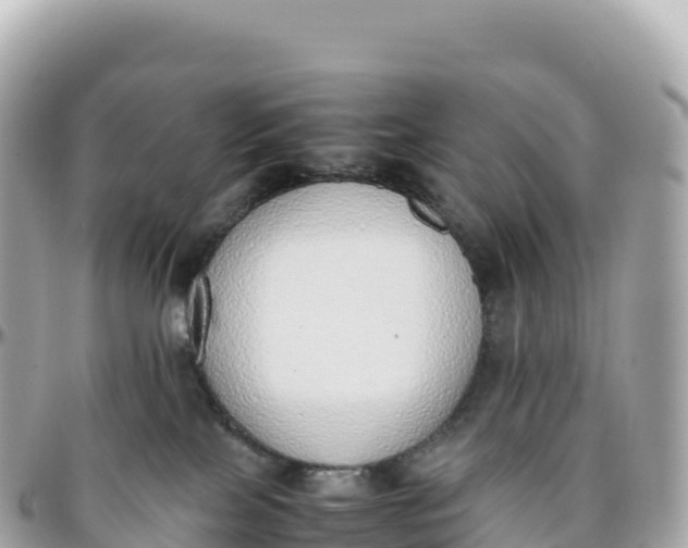 X0000095890089200801251212