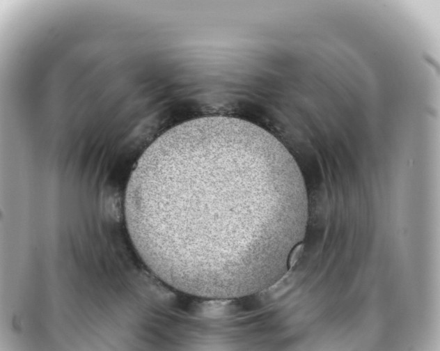 X0000095890090200801251212