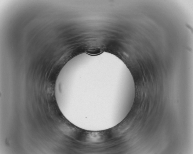 X0000095890091200801251212