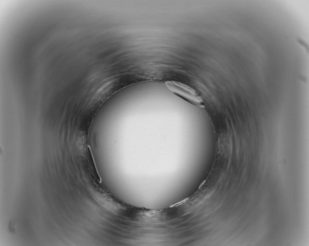 X0000095890092200801251212