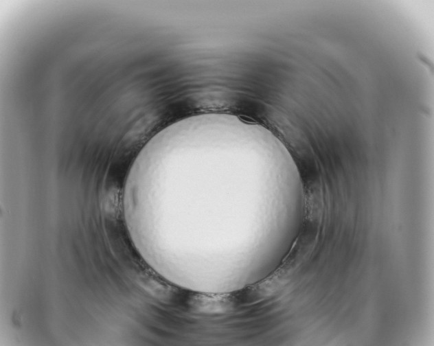 X0000095890093200801251212