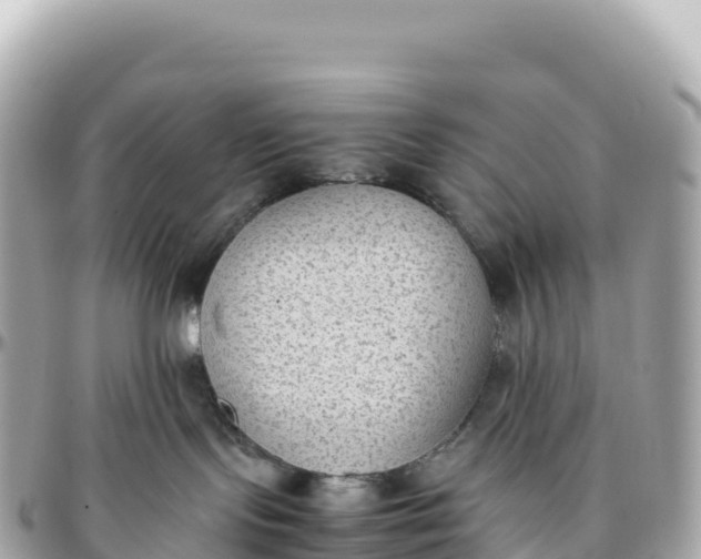 X0000095890095200801251212