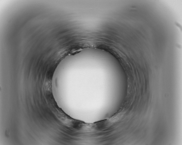 X0000095890096200801251212