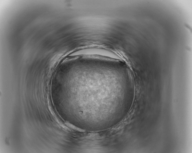 X0000095890097200801251211