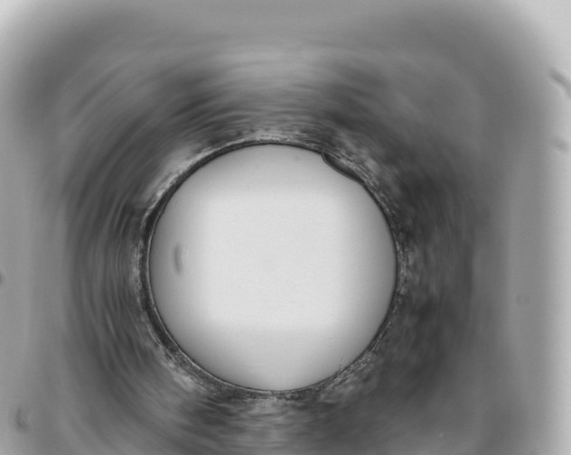 X0000095890098200801251211