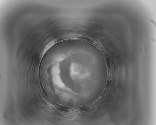 X0000095890099200801251211