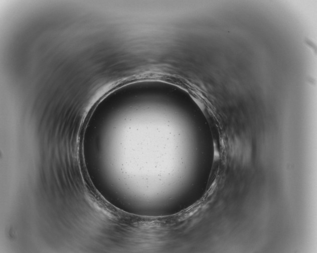 X0000095890100200801251211