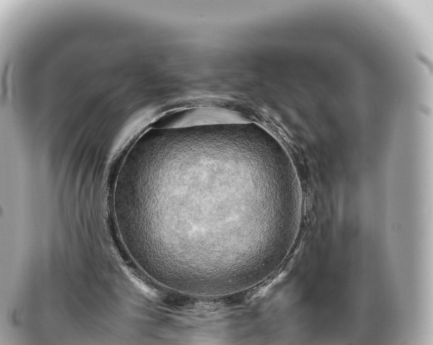 X0000095890101200801251211