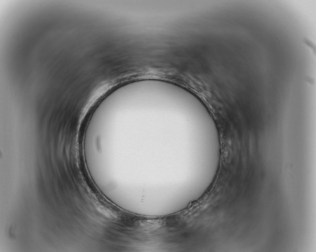 X0000095890102200801251211