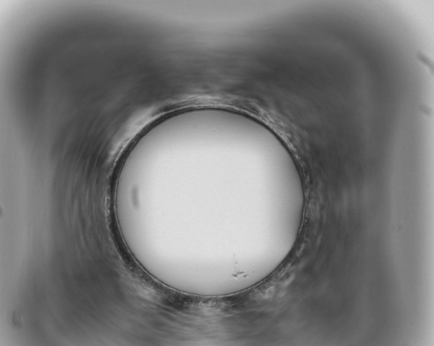 X0000095890103200801251211