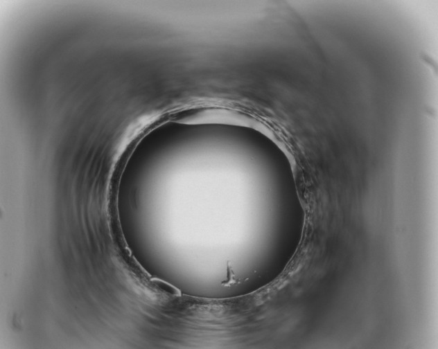 X0000095890104200801251211