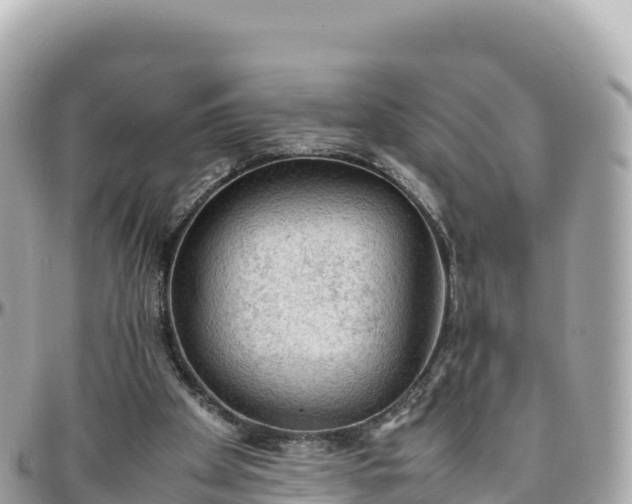 X0000095890105200801251211