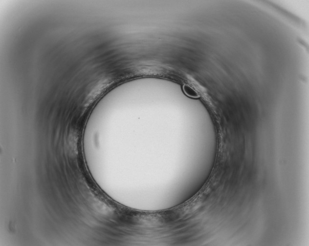 X0000095890106200801251211