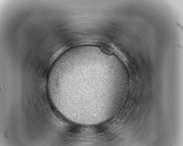 X0000095890107200801251211