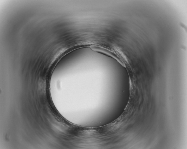 X0000095890108200801251211