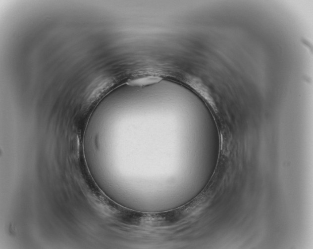 X0000095890109200801251211