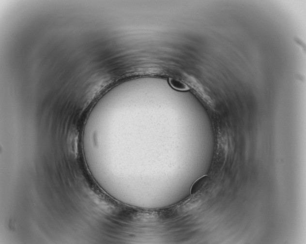 X0000095890110200801251211