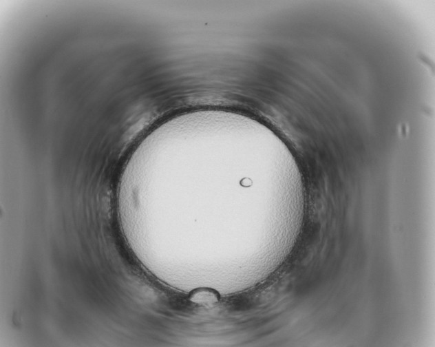 X0000095890111200801251211